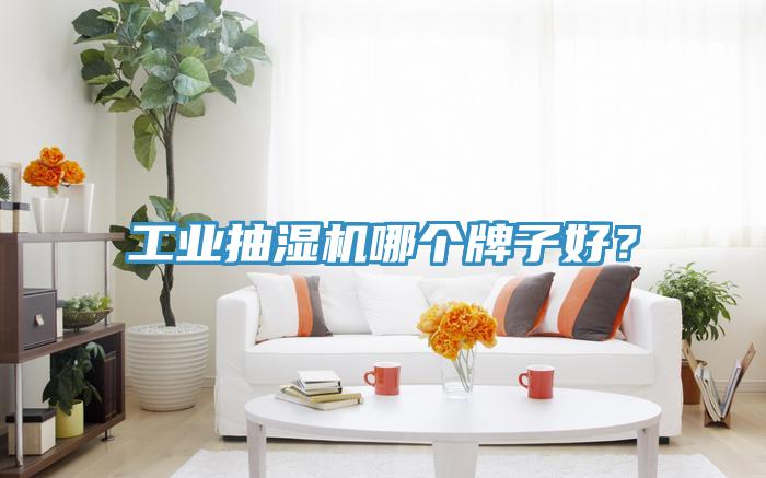 工業(yè)抽濕機(jī)哪個(gè)牌子好？