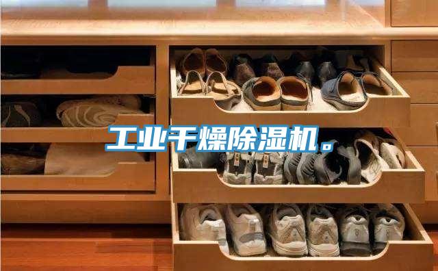 工業(yè)干燥除濕機。