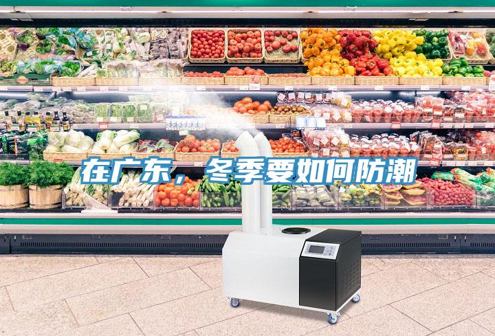 在廣東，冬季要如何防潮