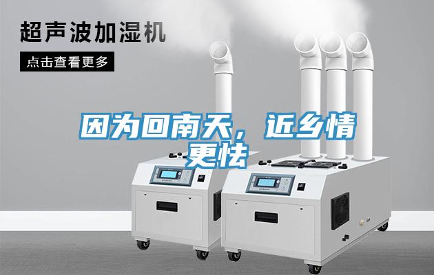 因?yàn)榛啬咸?，近鄉(xiāng)情更怯