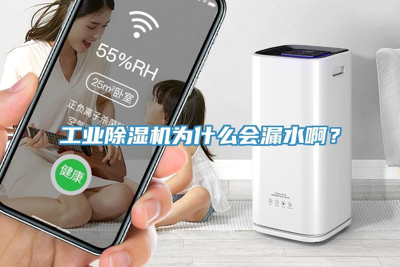工業(yè)除濕機(jī)為什么會(huì)漏水??？