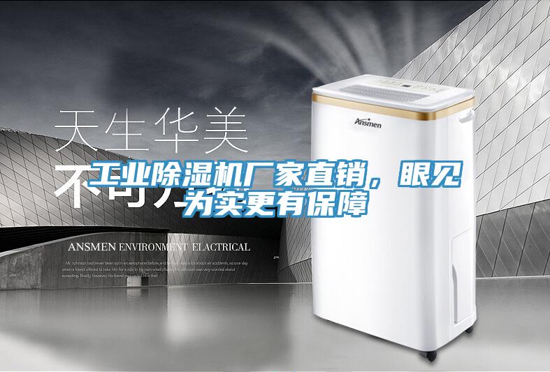 工業(yè)除濕機廠家直銷，眼見為實更有保障