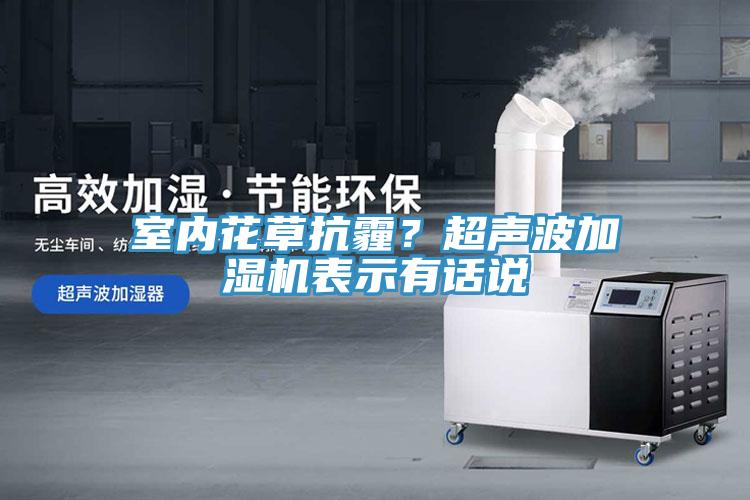 室內(nèi)花草抗霾？超聲波加濕機表示有話說