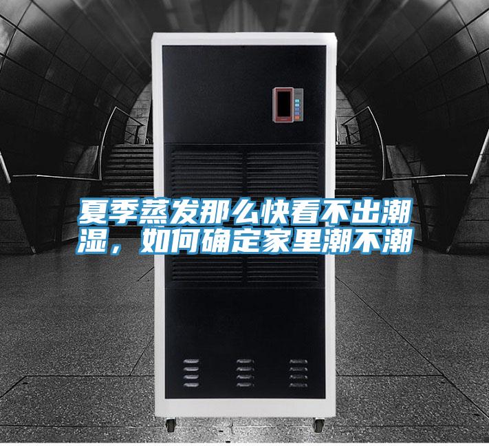 夏季蒸發(fā)那么快看不出潮濕，如何確定家里潮不潮