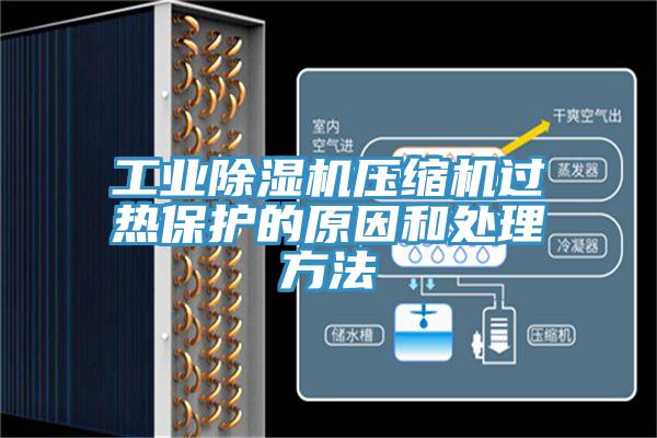 工業(yè)除濕機壓縮機過熱保護(hù)的原因和處理方法