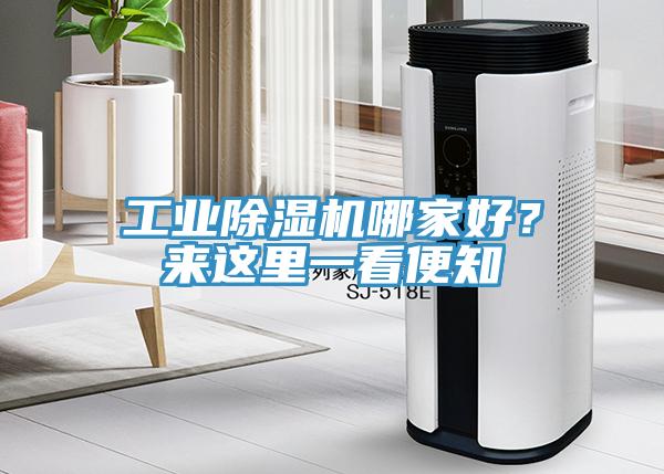 工業(yè)除濕機(jī)哪家好？來(lái)這里一看便知