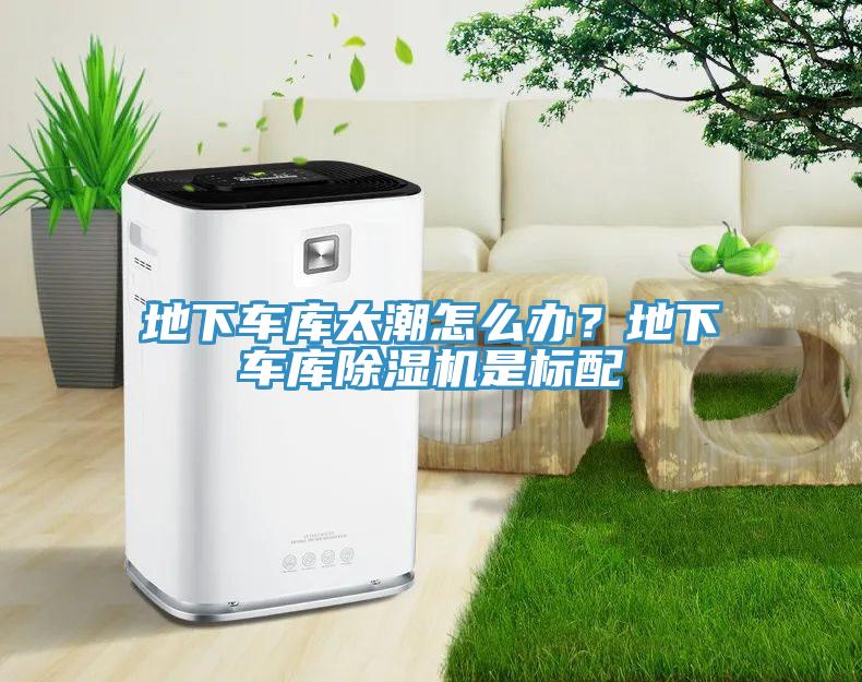 地下車庫太潮怎么辦？地下車庫除濕機是標配