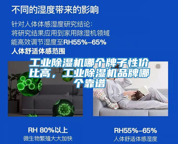 工業(yè)除濕機(jī)哪個牌子性價比高，工業(yè)除濕機(jī)品牌哪個靠譜