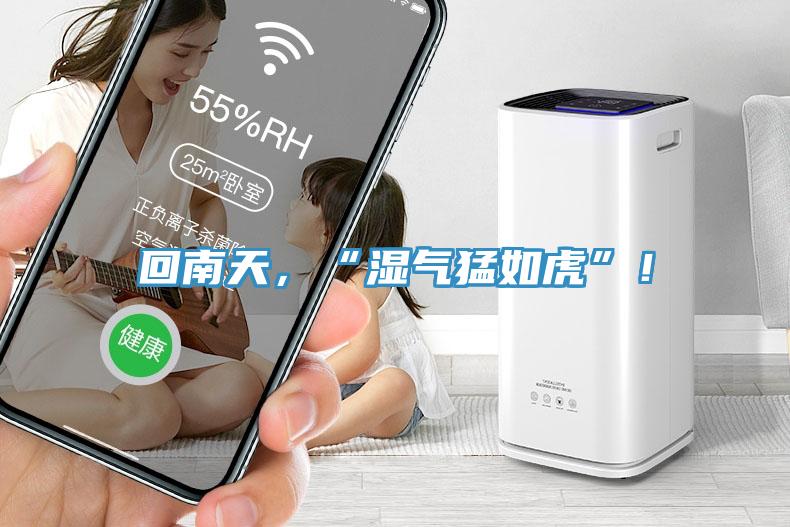 回南天，“濕氣猛如虎”！