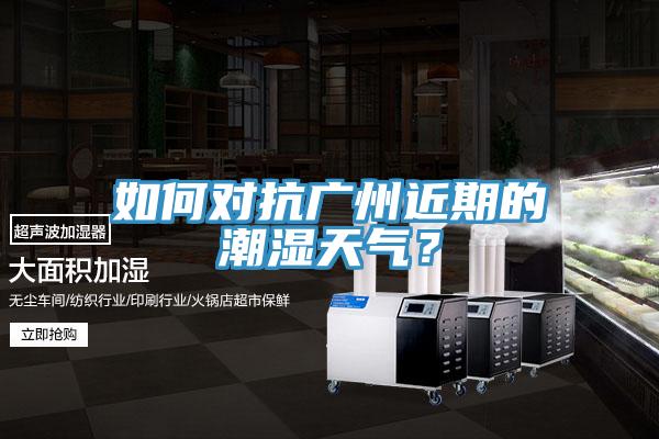 如何對抗廣州近期的潮濕天氣？