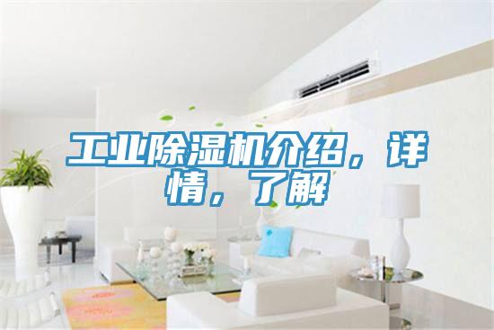 工業(yè)除濕機(jī)介紹，詳情，了解