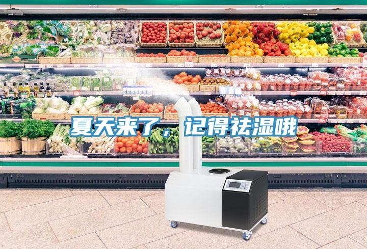 夏天來了，記得祛濕哦