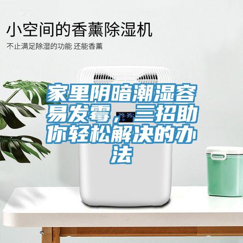 家里陰暗潮濕容易發(fā)霉，三招助你輕松解決的辦法