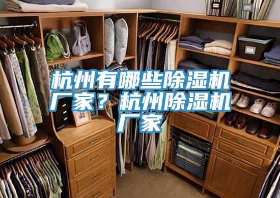 杭州有哪些除濕機廠家？杭州除濕機廠家