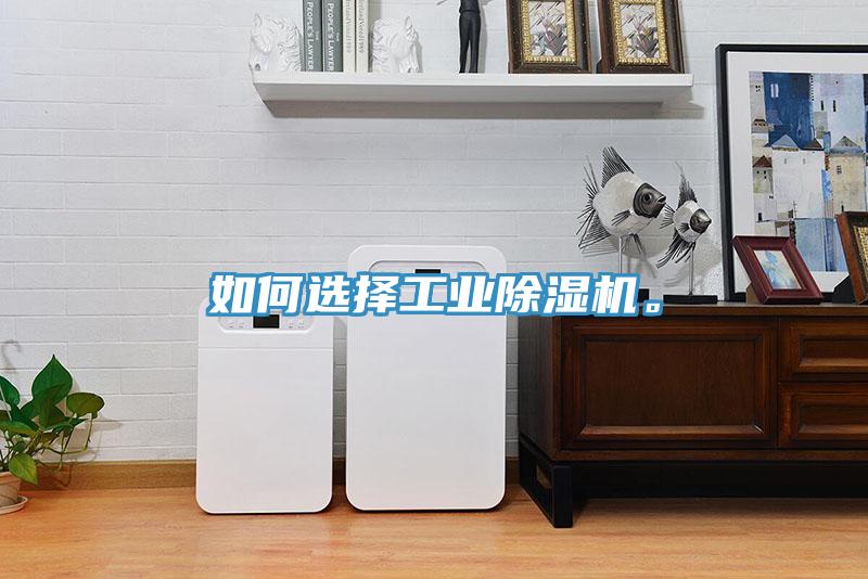 如何選擇工業(yè)除濕機(jī)。