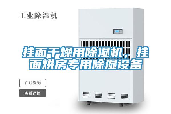 掛面干燥用除濕機(jī)，掛面烘房專用除濕設(shè)備