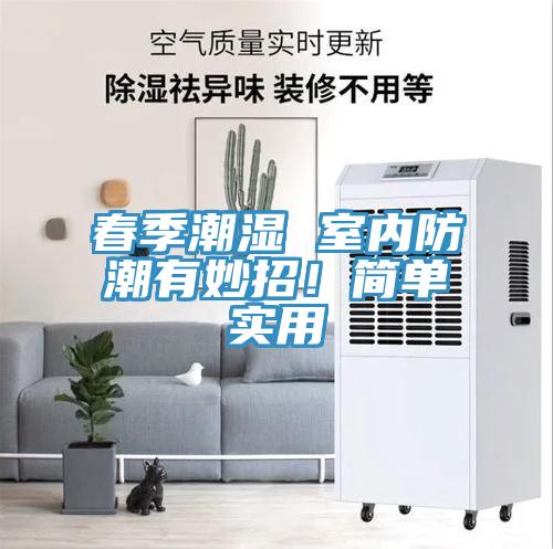 春季潮濕 室內(nèi)防潮有妙招！簡單實用