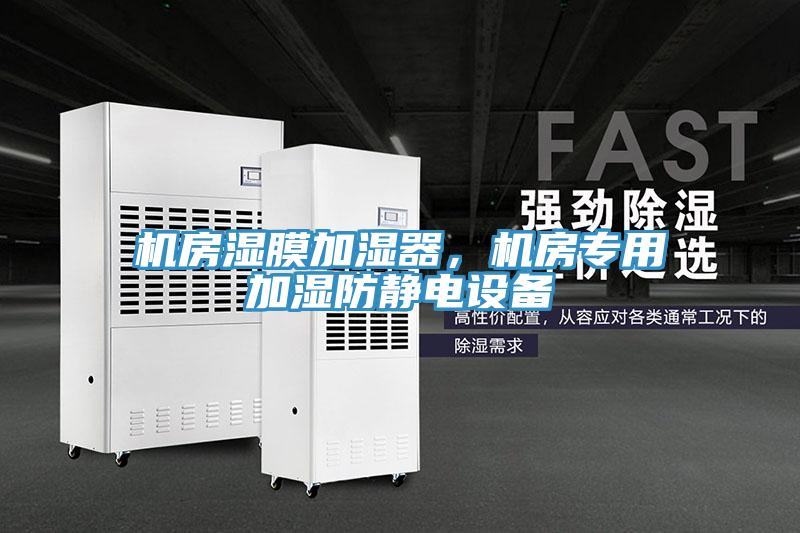 機(jī)房濕膜加濕器，機(jī)房專用加濕防靜電設(shè)備