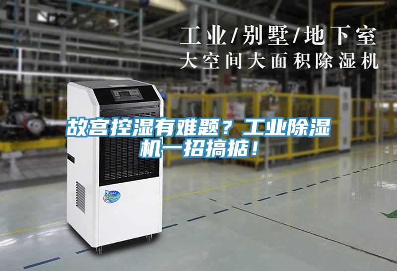 故宮控濕有難題？工業(yè)除濕機一招搞掂！