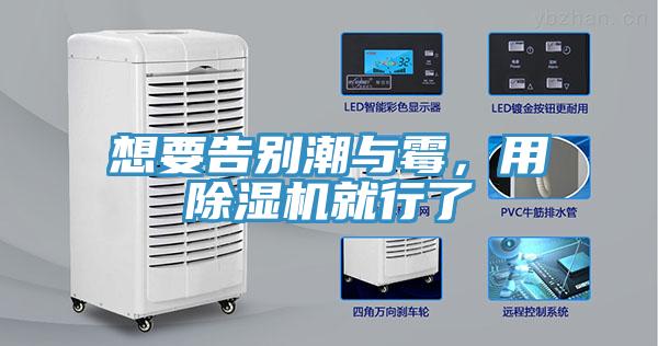 想要告別潮與霉，用除濕機就行了