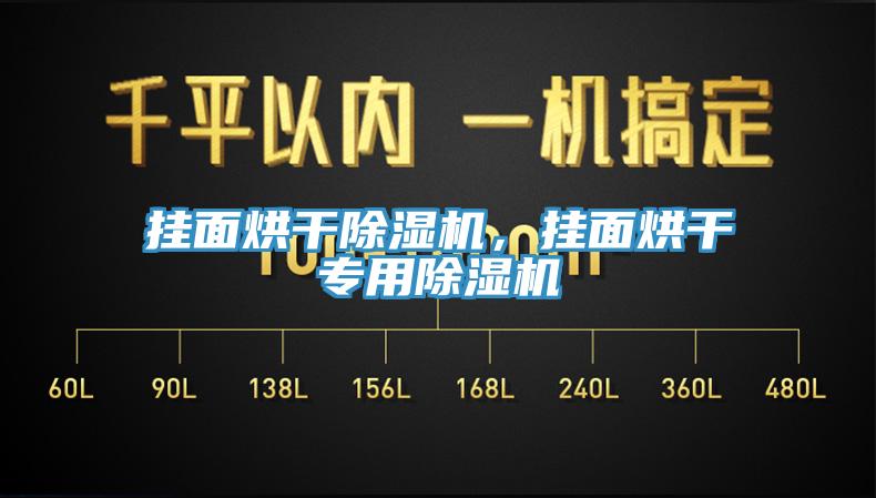 掛面烘干除濕機(jī)，掛面烘干專用除濕機(jī)