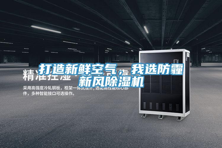 打造新鮮空氣，我選防霾新風除濕機