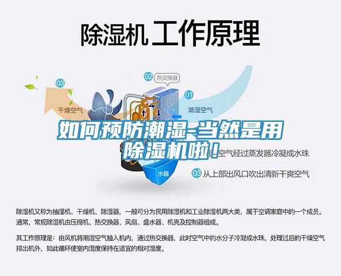 如何預防潮濕-當然是用除濕機啦！