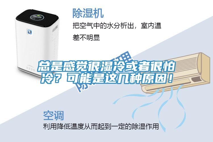 總是感覺(jué)很濕冷或者很怕冷？可能是這幾種原因！