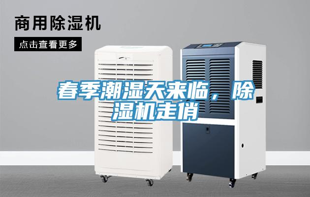 春季潮濕天來臨，除濕機(jī)走俏