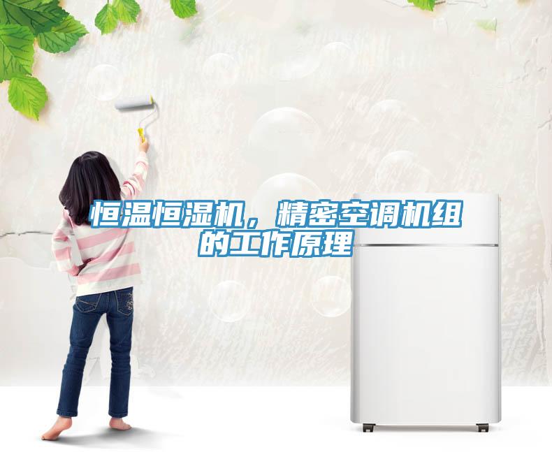 恒溫恒濕機，精密空調(diào)機組的工作原理
