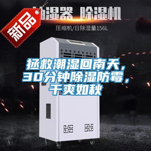 拯救潮濕回南天，30分鐘除濕防霉，干爽如秋