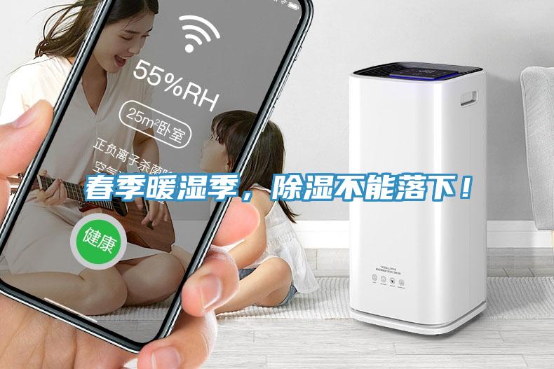 春季暖濕季，除濕不能落下！