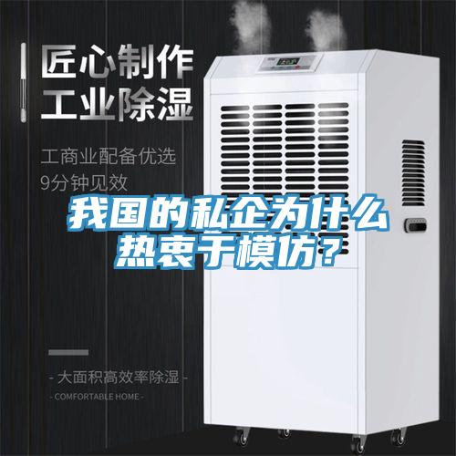 我國的私企為什么熱衷于模仿？