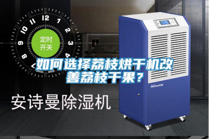 如何選擇荔枝烘干機(jī)改善荔枝干果？