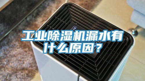 工業(yè)除濕機漏水有什么原因？