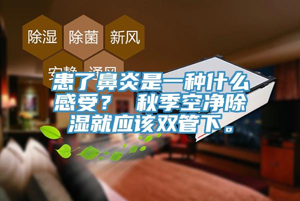 患了鼻炎是一種什么感受？ 秋季空凈除濕就應(yīng)該雙管下。