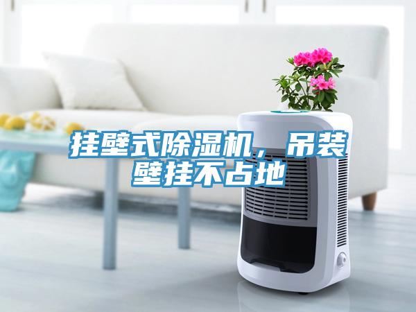 掛壁式除濕機(jī)，吊裝壁掛不占地