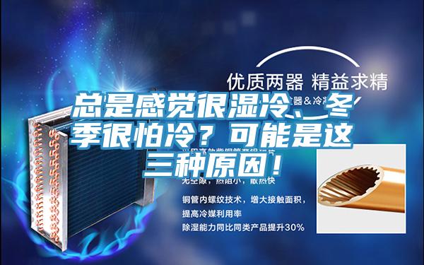 總是感覺(jué)很濕冷、冬季很怕冷？可能是這三種原因！