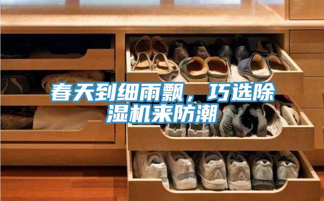 春天到細雨飄，巧選除濕機來防潮
