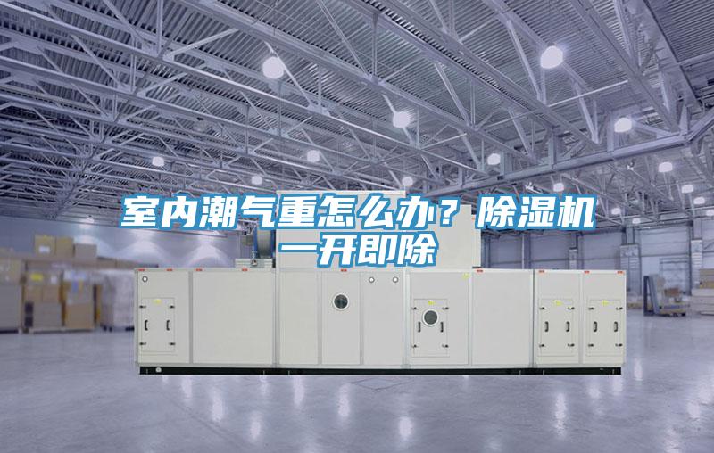 室內(nèi)潮氣重怎么辦？除濕機(jī)一開即除
