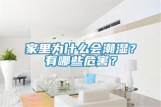 家里為什么會(huì)潮濕？有哪些危害？