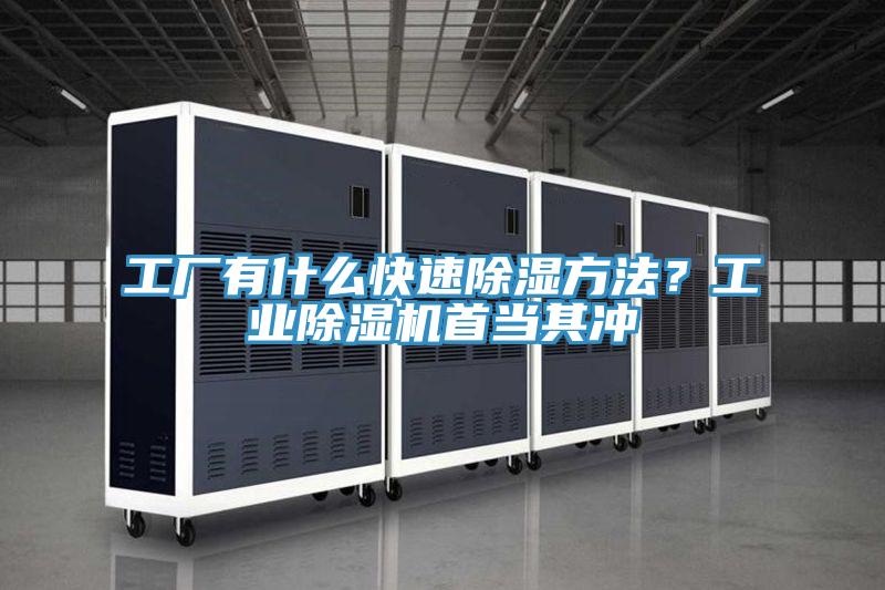 工廠有什么快速除濕方法？工業(yè)除濕機(jī)首當(dāng)其沖
