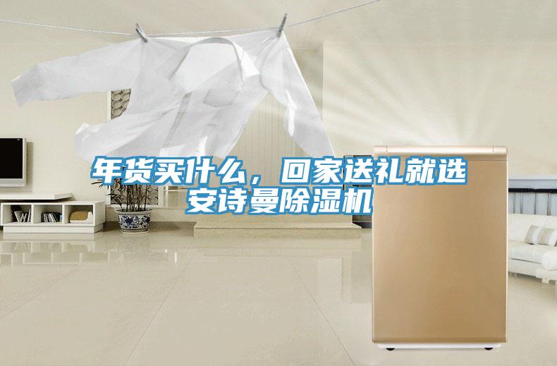 年貨買什么，回家送禮就選安詩曼除濕機