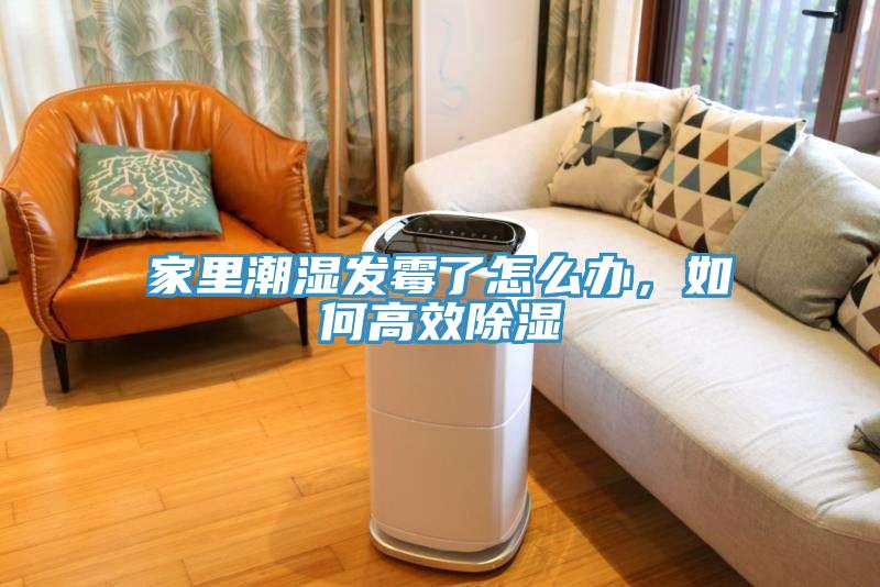 家里潮濕發(fā)霉了怎么辦，如何高效除濕