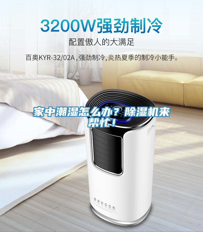 家中潮濕怎么辦？除濕機(jī)來幫忙！