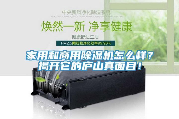 家用和商用除濕機(jī)怎么樣？揭開它的廬山真面目！