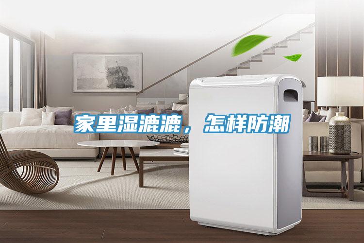 家里濕漉漉，怎樣防潮