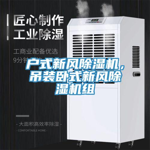 戶式新風(fēng)除濕機(jī)，吊裝臥式新風(fēng)除濕機(jī)組