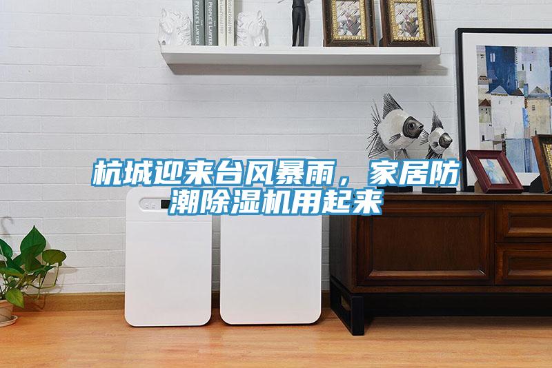 杭城迎來臺風暴雨，家居防潮除濕機用起來