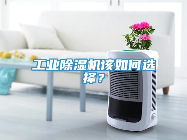 工業(yè)除濕機(jī)該如何選擇？